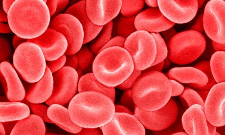 Red blood cells