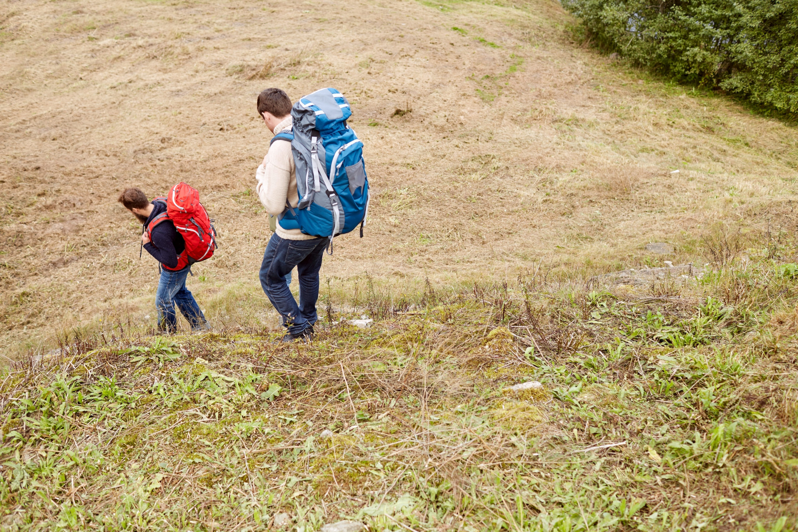 How To Have A Successful Day Of Hiking